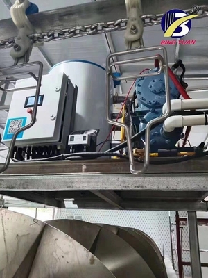 Машина создателя льда хлопь стали 8ton SUS304 Staineless для рыб