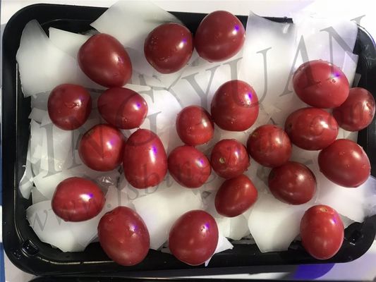 Машина льда хлопь оптовой цены промышленная, небольшой создатель льда емкости 1T/Day